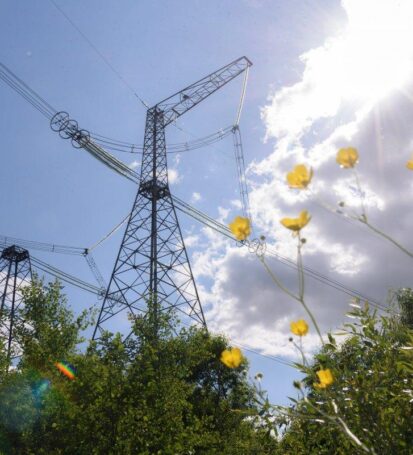 Квартальний моніторинг купівлі-продажу електроенергії